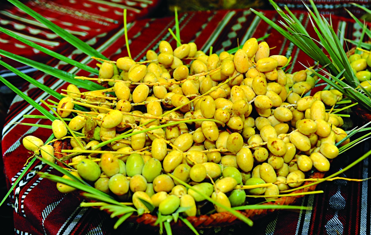 ذاكرة الشرق