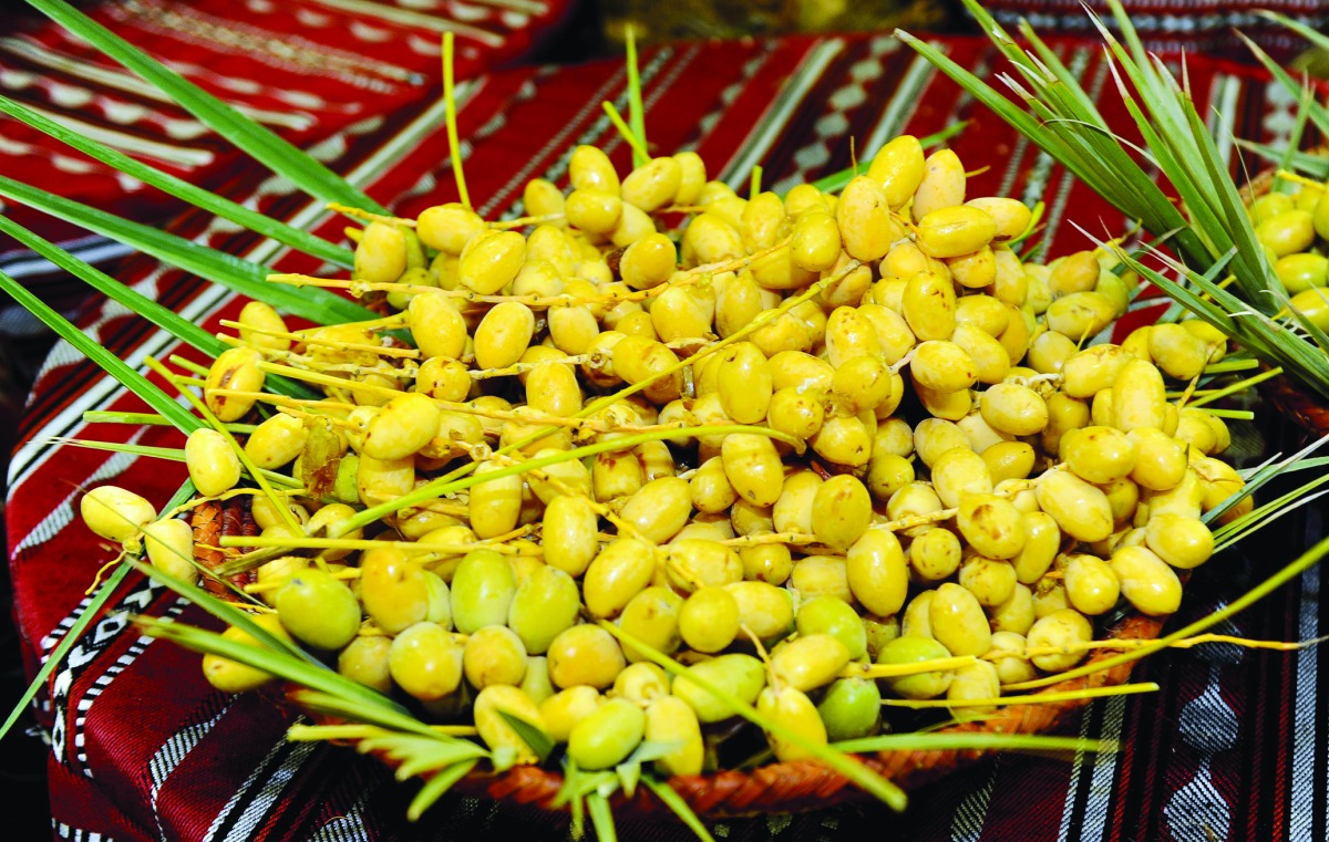 ذاكرة الشرق